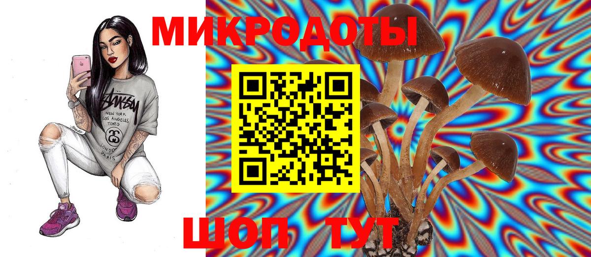 Псилоцибиновые грибы MAGIC MUSHROOMS Курганинск